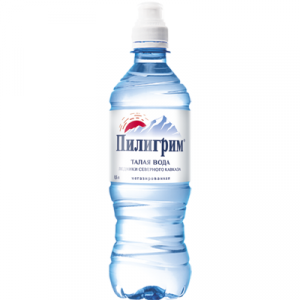 Вода минеральная Пилигрим спорт негаз 0,5л